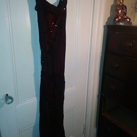 Gorgeous anopia gown size 4 exquisite - Picture 6 of 8